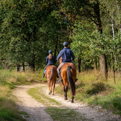 Turridning i naturen